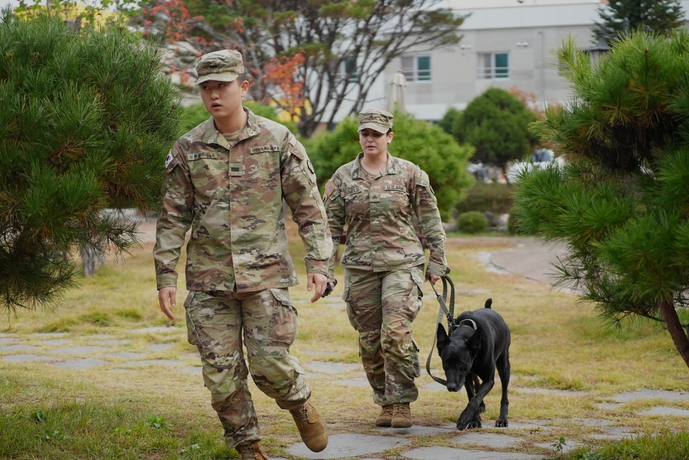 903rd MWR K9 Demonstration at Korea Pet High School