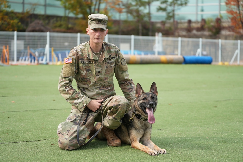 903rd MWR K9 Demonstration at Korea Pet High School