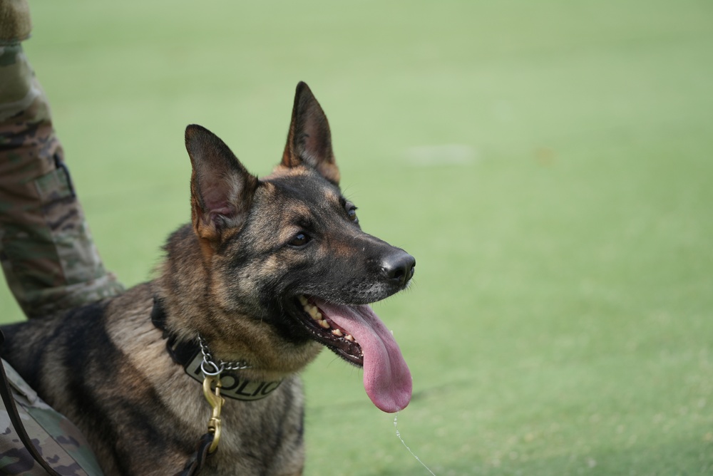 903rd MWR K9 Demonstration at Korea Pet High School