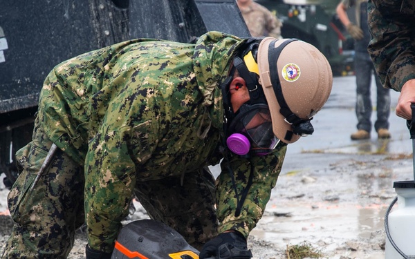 U.S. Armed Forces conduct bilateral ADR