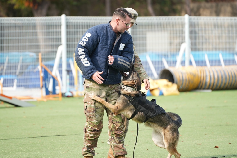 903rd MWR K9 Demonstration at Korea Pet High School