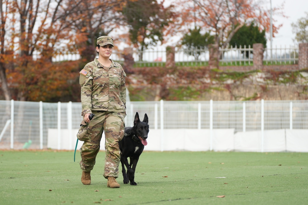 903rd MWR K9 Demonstration at Korea Pet High School