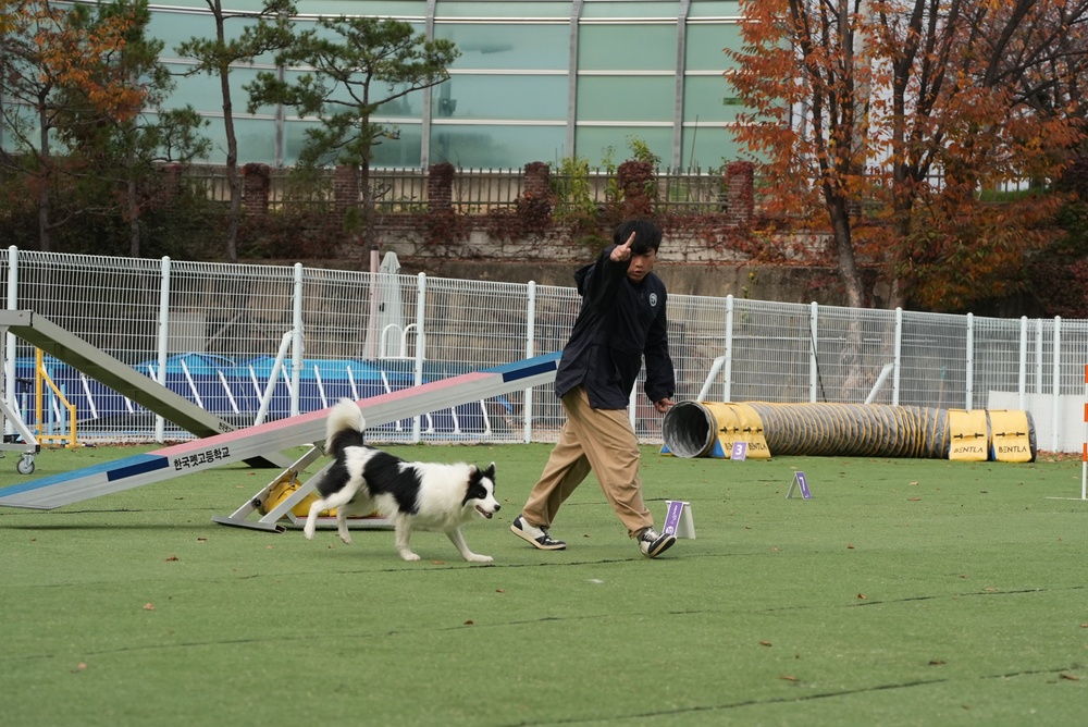 903rd MWR K9 Demonstration at Korea Pet High School