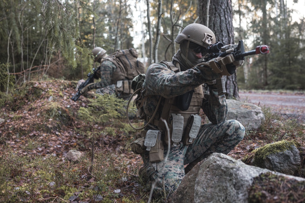 U.S. Marines Conduct Simulated Combat Patrols