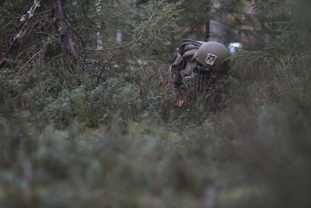 U.S. Marines Conduct Simulated Combat Patrols