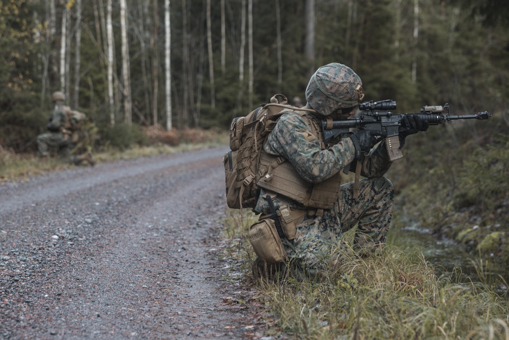 U.S. Marines Conduct Simulated Combat Patrols