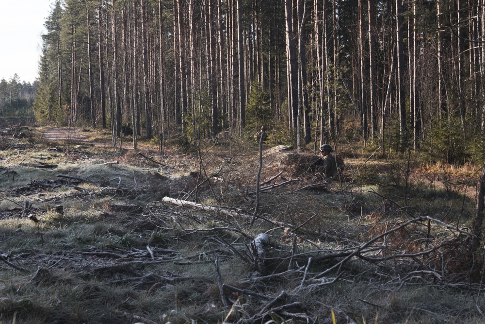 U.S. Marines Conduct Simulated Combat Patrols