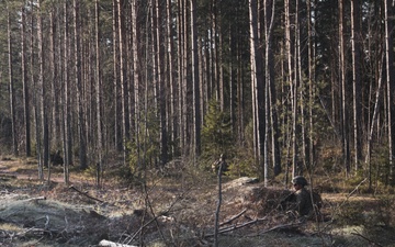 U.S. Marines Conduct Simulated Combat Patrols