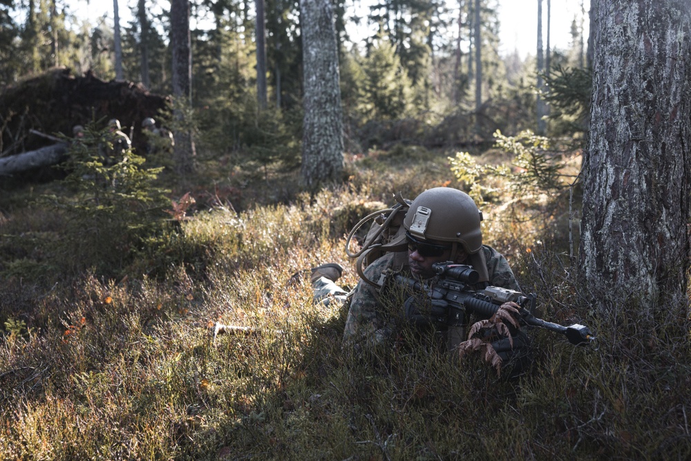 U.S. Marines Conduct Simulated Combat Patrols