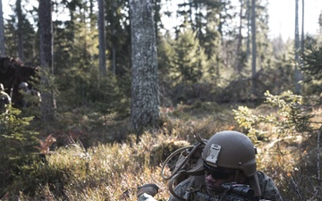 U.S. Marines Conduct Simulated Combat Patrols