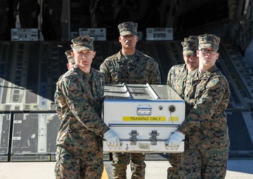 Timeless Traditions: Dover Dignified Transfer Teams