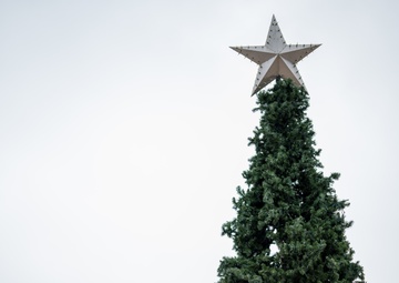 502d CES Maintenance Mechanics Assemble 2024 Holiday Tree