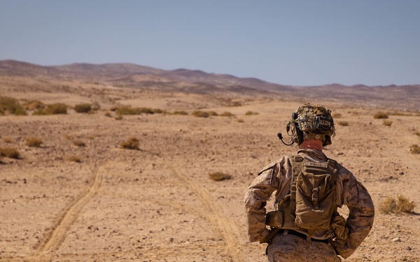 Intrepid Maven 25.1: FINEX