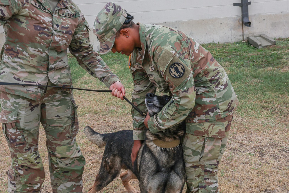 Sgt. 1st Class Alexis Seales Promotion Ceremony