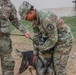 Sgt. 1st Class Alexis Seales Promotion Ceremony