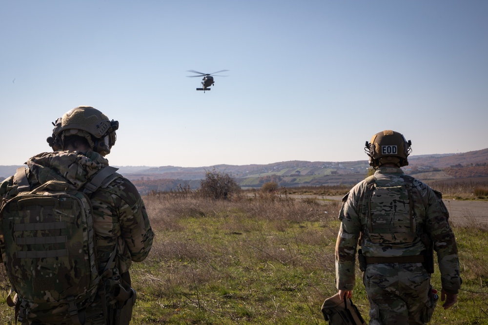 Kosovo Forces Conduct Helicopter Landing Site Clearing