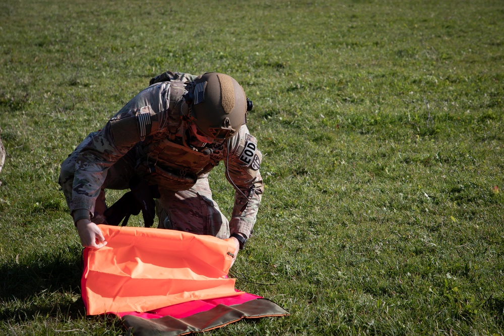 Kosovo Forces Conduct Helicopter Landing Site Clearing