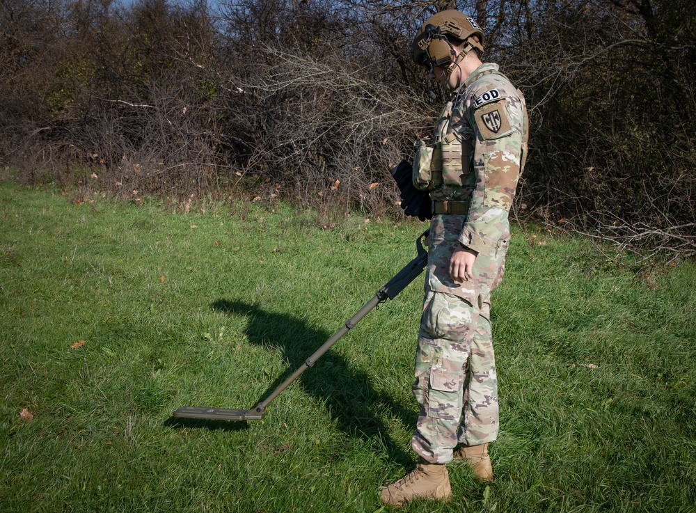 Kosovo Forces Conduct Helicopter Landing Site Clearing