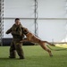 Camp Lemonnier Veterinary Service Team Train on K-9 TCCC