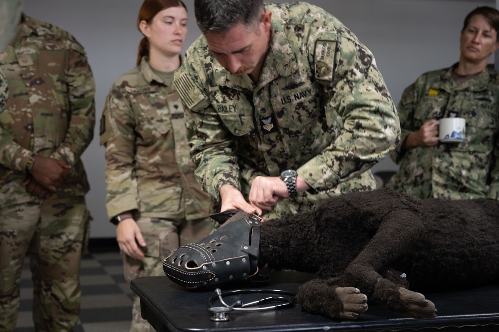 Camp Lemonnier Veterinary Service Team Train on K-9 TCCC