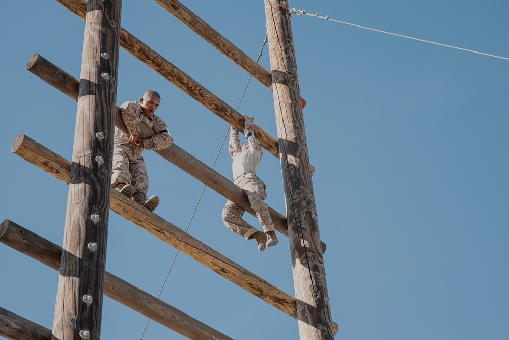 Fox Company Confidence Course