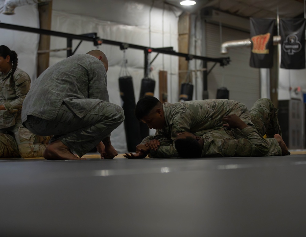 101st Combative Training