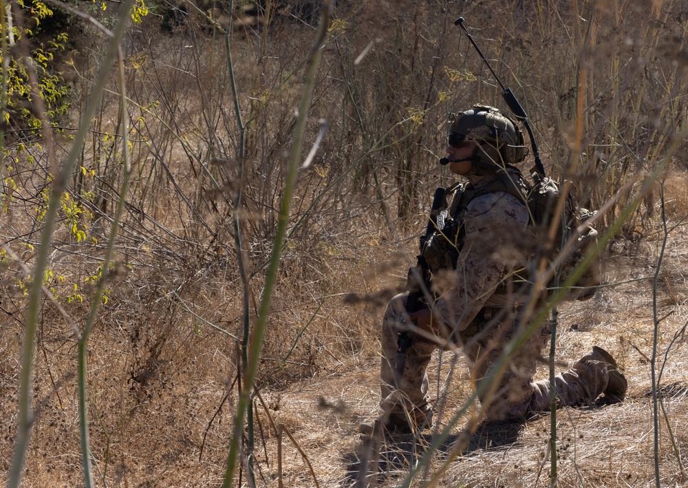 1st Recon Bn. Marines conduct live-fire day, night ranges