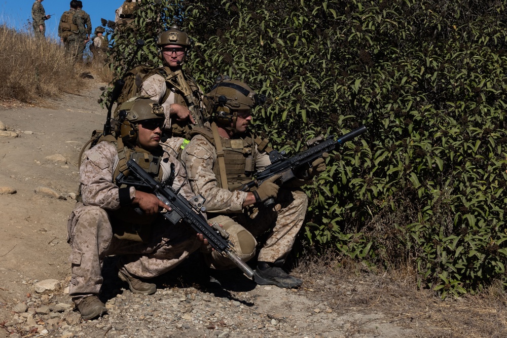 1st Recon Bn. Marines conduct live-fire day, night ranges