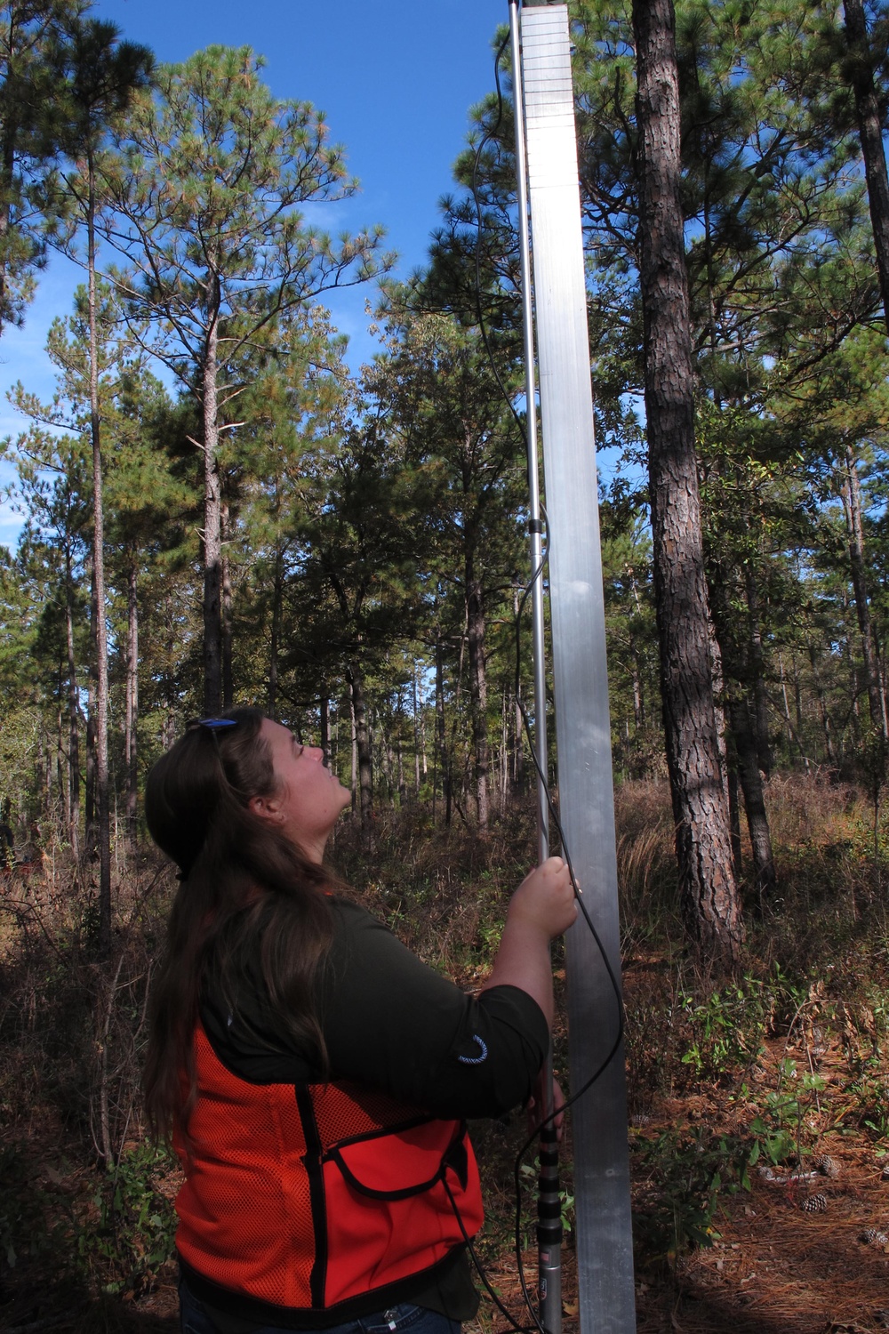 SC National Guard Environmental Program bat survey