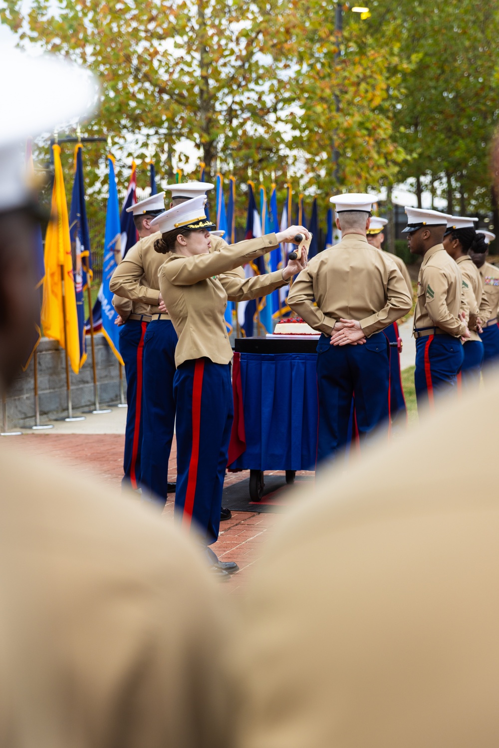 249th Marine Corps Birthday Cake Cutting Ceremony at Henderson Hall