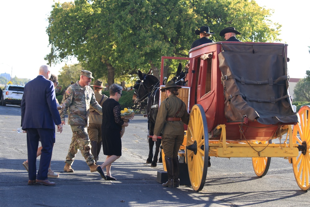 Mule-drawn coach