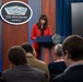 Pentagon Press Briefing