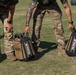 United States Army hosts Best Squad Competition fitness event on the National Mall