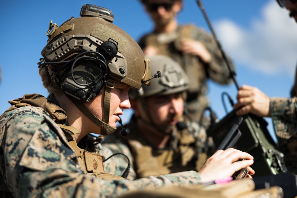 Exercise Bold Quest: II MEF participates in CAS with NATO allies