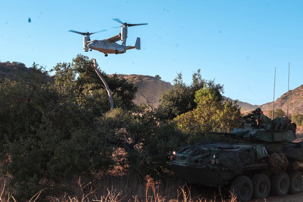 V17 Marines conduct TRAP course with EOTG