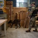 Military working dog handlers team up for joint training on JBPHH