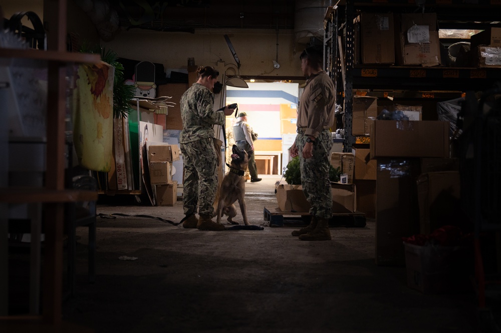 Military working dog handlers team up for joint training on JBPHH