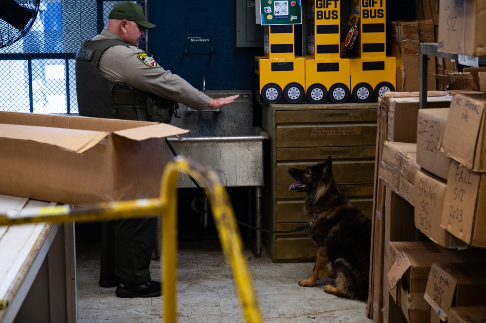 Military working dog handlers team up for joint training on JBPHH