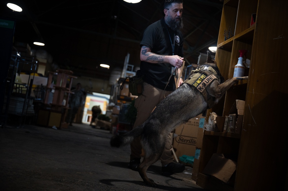 Military working dog handlers team up for joint training on JBPHH