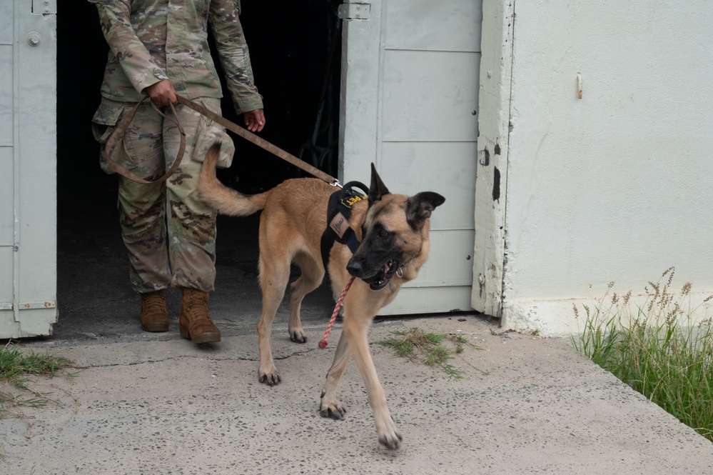 Military working dog handlers team up for joint training on JBPHH