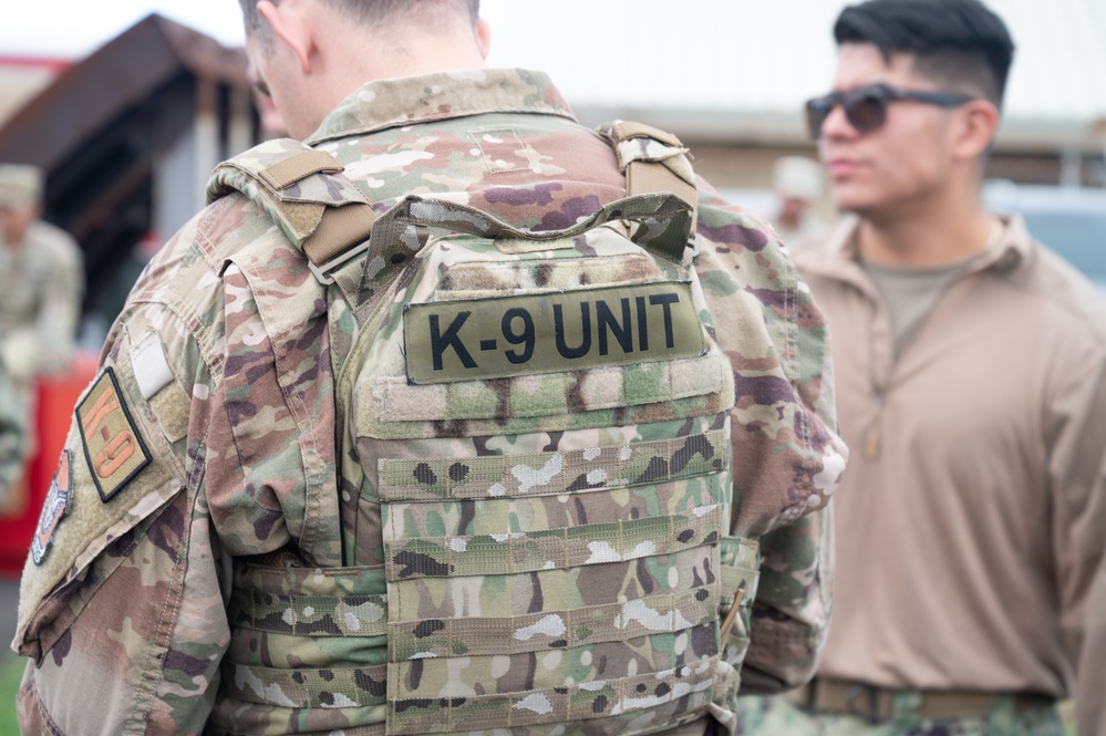 Military working dog handlers team up for joint training on JBPHH