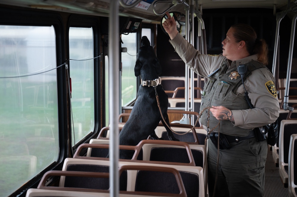 Military working dog handlers team up for joint training on JBPHH