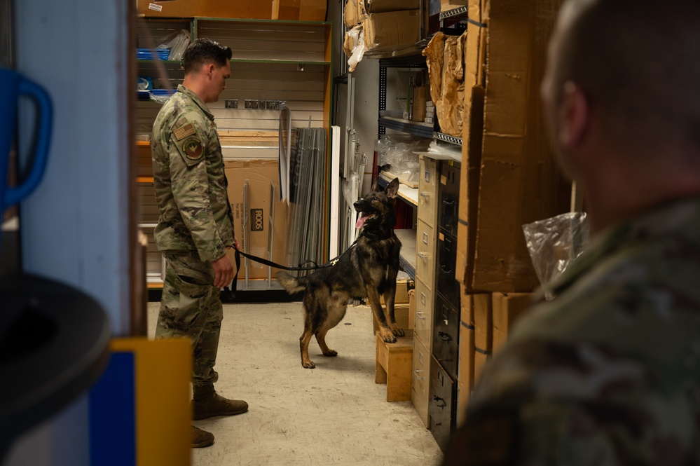 Military working dog handlers team up for joint training on JBPHH