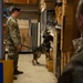 Military working dog handlers team up for joint training on JBPHH