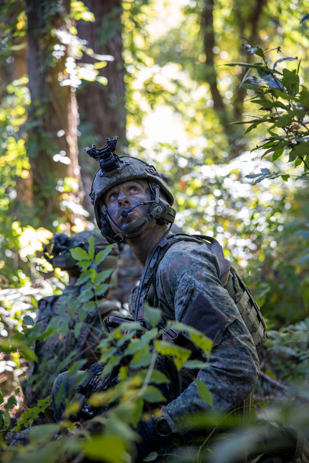 2nd ANGLICO Conduct Simulated Ambush with NATO Allies