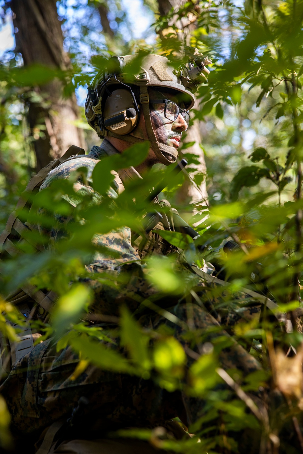 2nd ANGLICO Conduct Simulated Ambush with NATO Allies