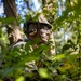 2nd ANGLICO Conduct Simulated Ambush with NATO Allies