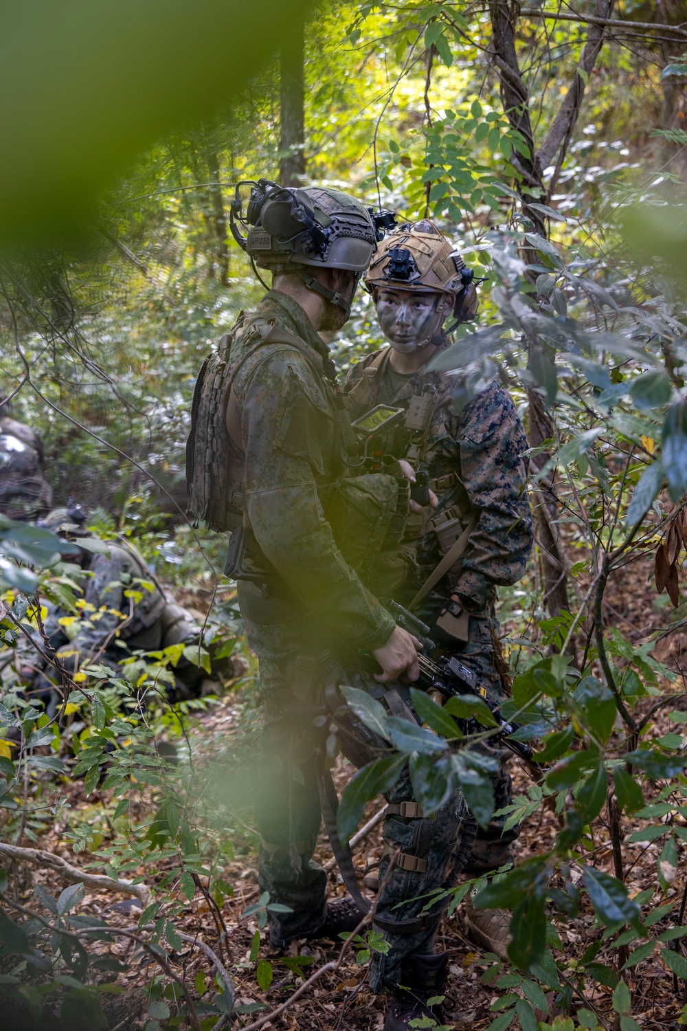 2nd ANGLICO Conduct Simulated Ambush with NATO Allies