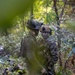 2nd ANGLICO Conduct Simulated Ambush with NATO Allies