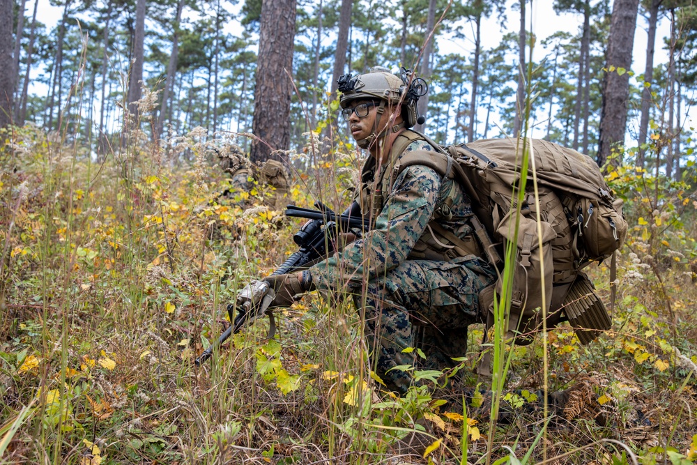 2nd ANGLICO Conduct Simulated Ambush with NATO Allies